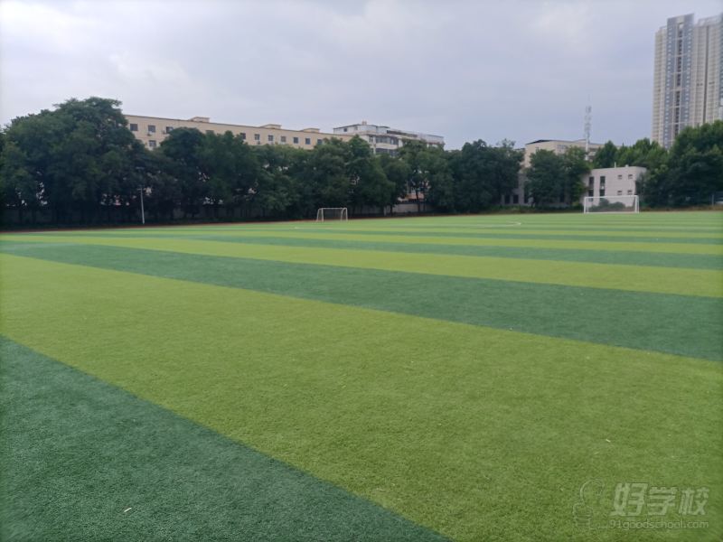 新校区场地