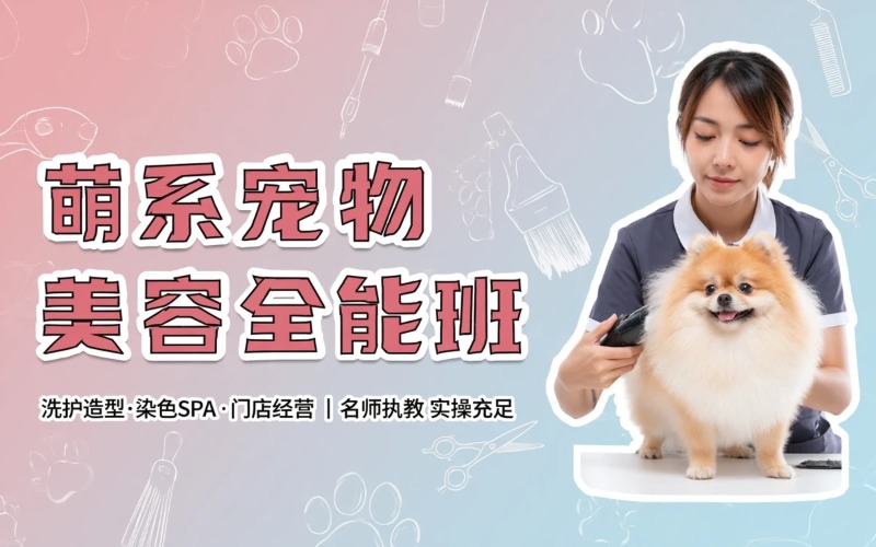 上海宠物美容护理C级+B级+萌系全能培训班