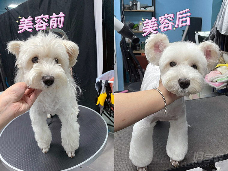 教学成果