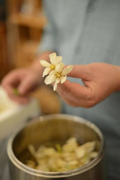 上海校区