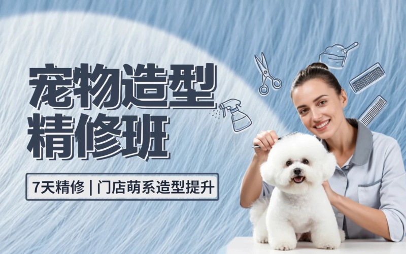 江苏宠物洗护与造型修剪短期精修培训班