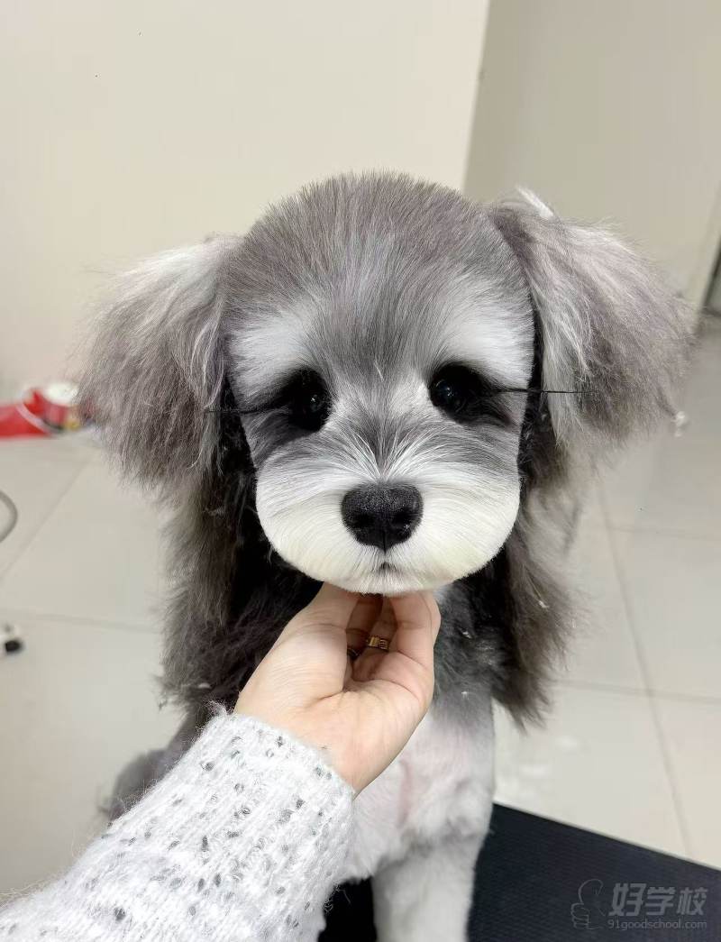教学现场