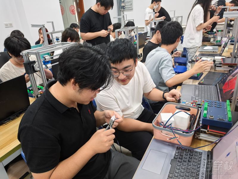 实训中6