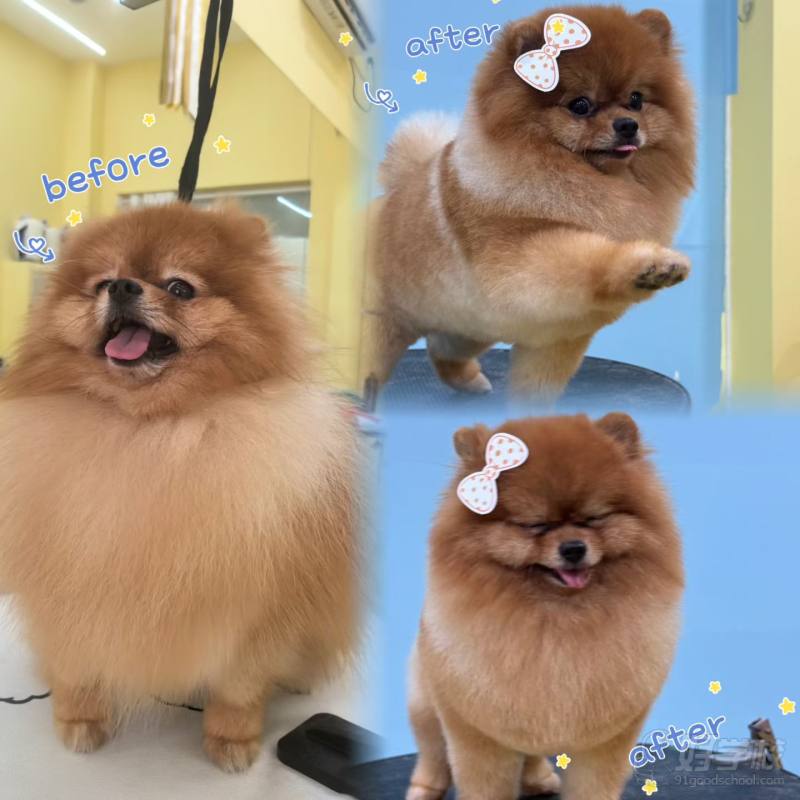 学员风采4