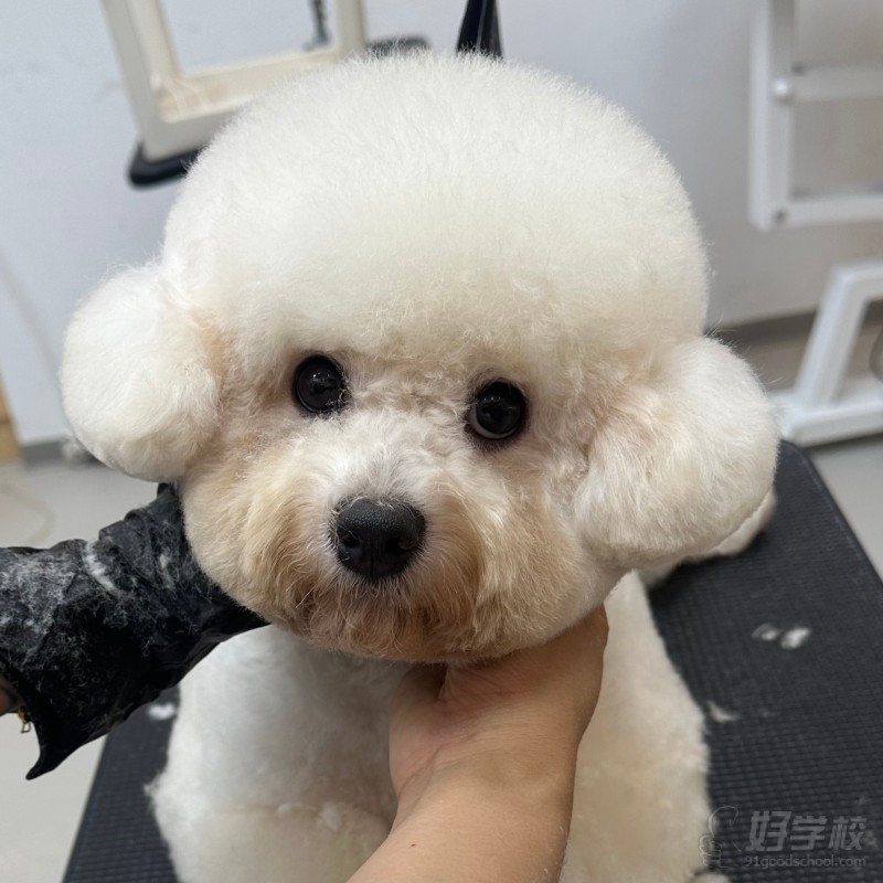 学员作品6