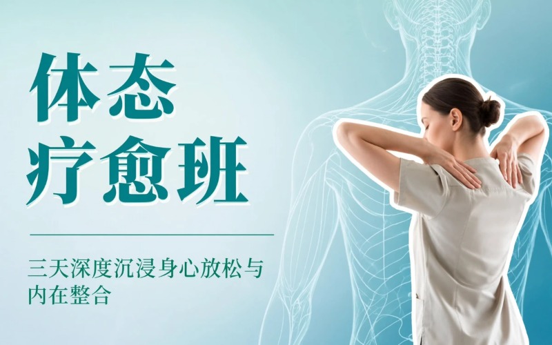 深圳体态与疼痛密集调整疗愈培训班
