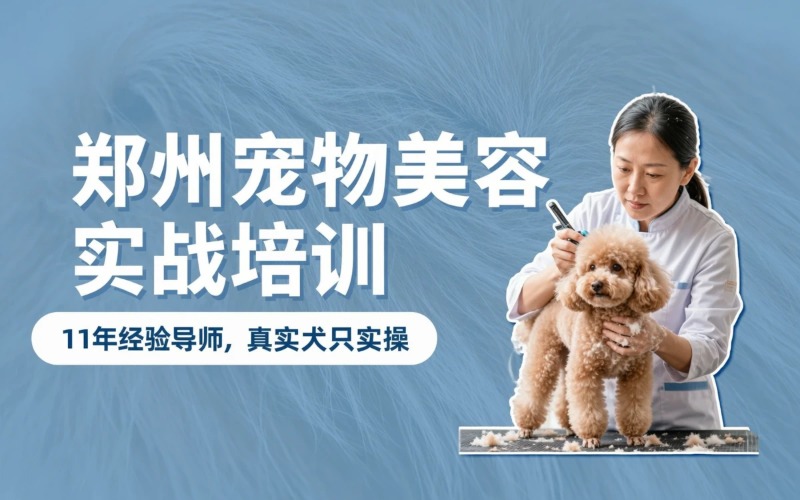 郑州宠物美容实战培训课程