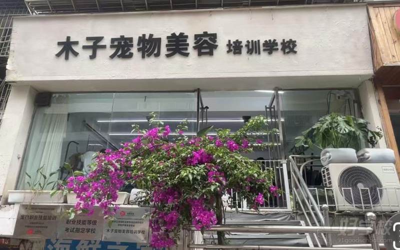 学校外观