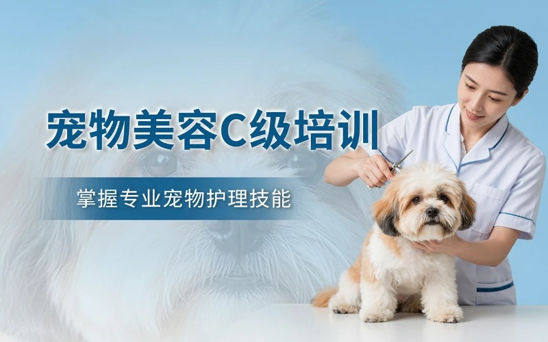 贵阳宠物美容C级培训课程