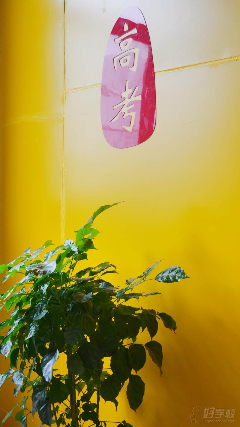 机构环境