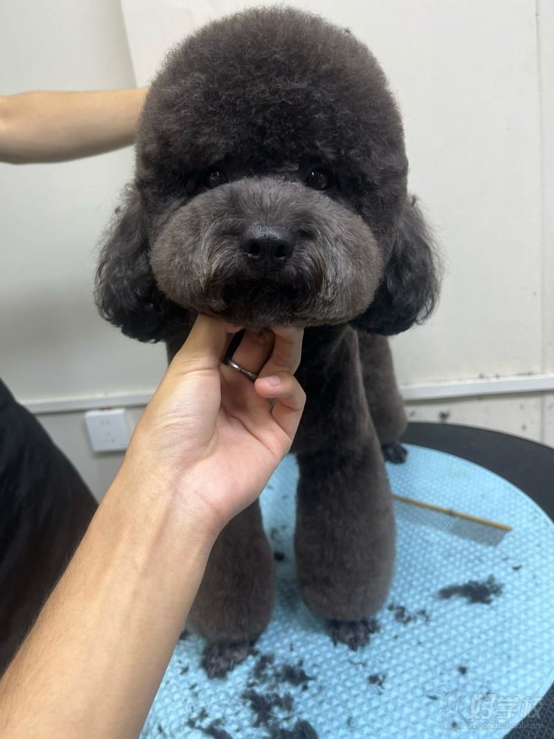 学员作品6