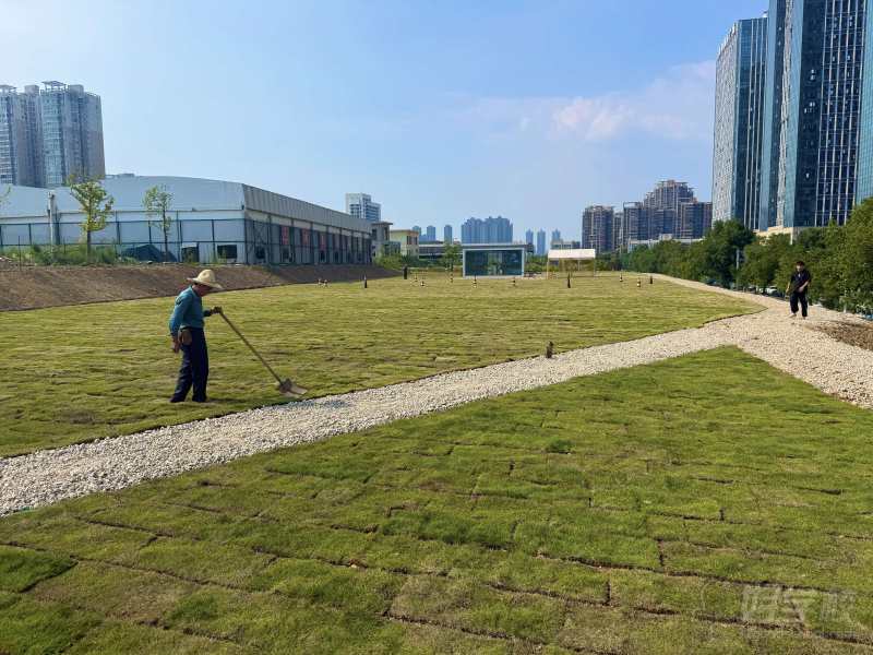 实飞场地2