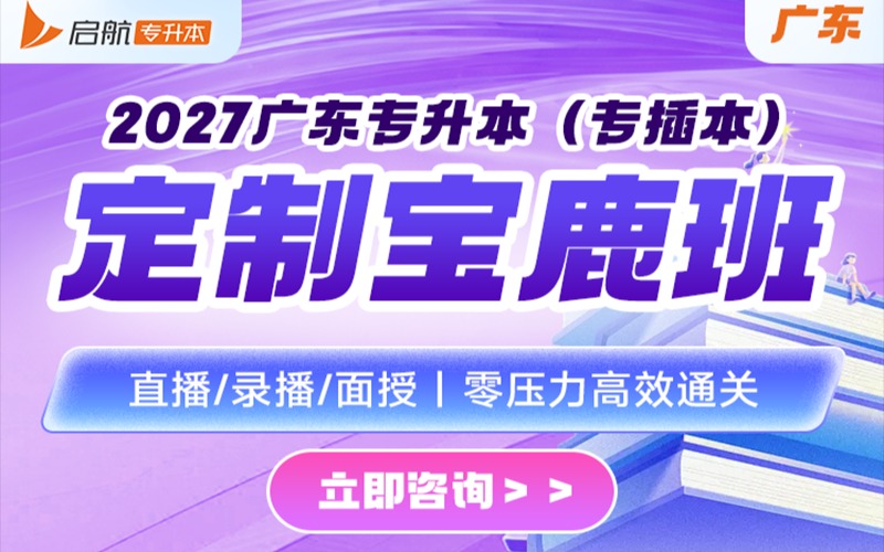 广东2027专升本定制宝鹿班