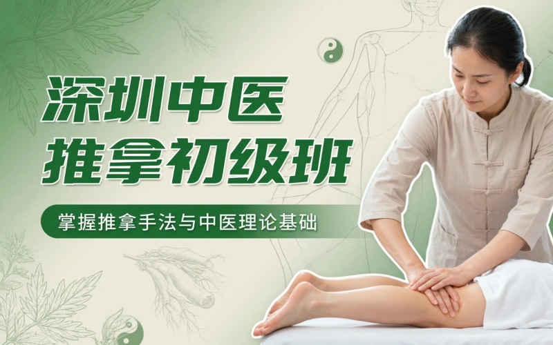 深圳中医初级推拿培训班