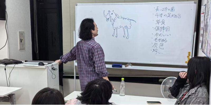 教学现场9
