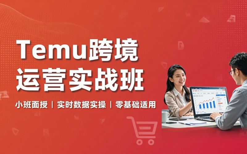 拼多多跨境Temu运营班