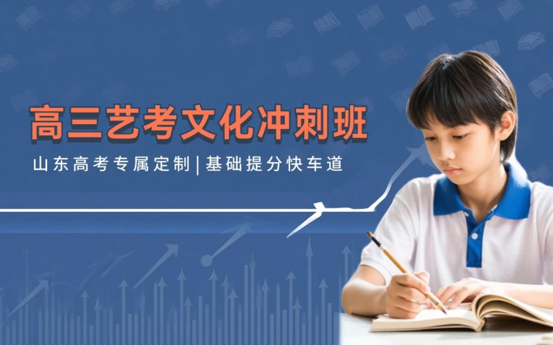 高三艺术生文化课冲刺班