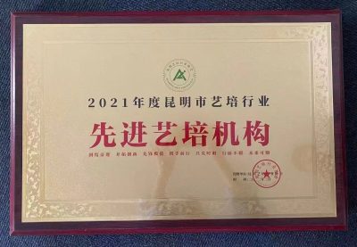 昆明高新校区