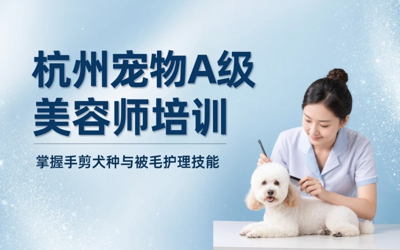 杭州宠物 A 级赛级美容师培训课程