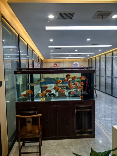 合肥校区