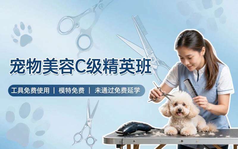 济南宠物美容C级精英培训班