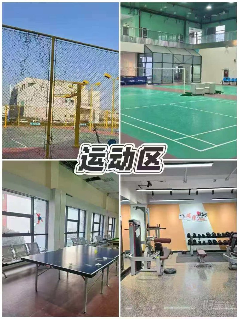 运动区