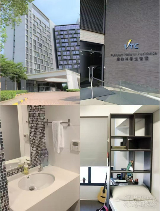 香港VTC高级文凭项目