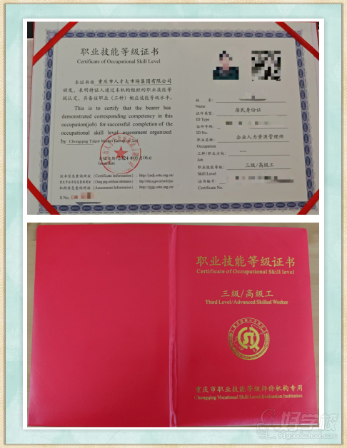 技能人才評價證書全國聯(lián)網(wǎng)查詢系統(tǒng)（網(wǎng)址：http://jndj.0.s.t.a.o r g.cn/）