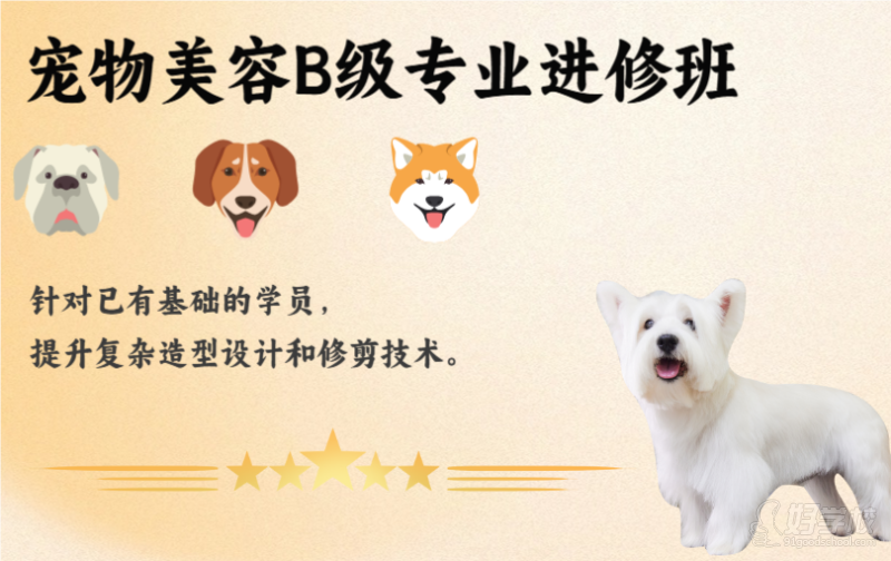 寵物美容