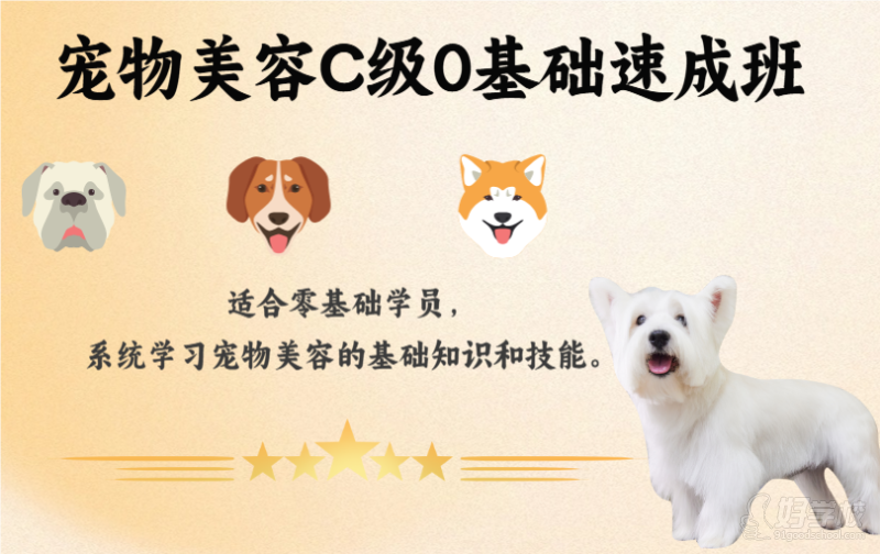 宠物美容