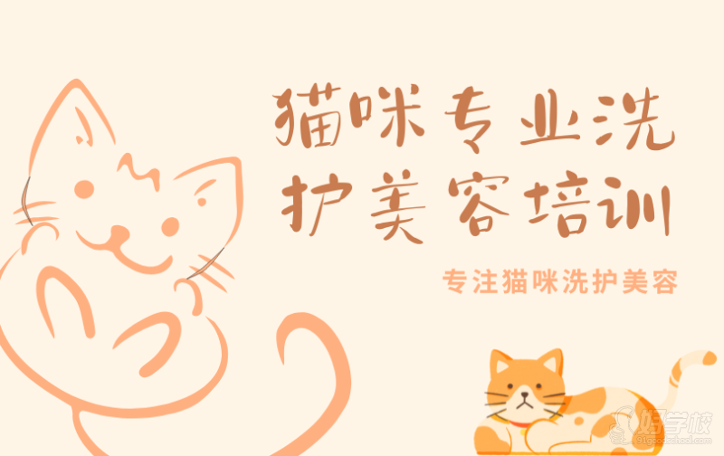貓咪洗護(hù)美容