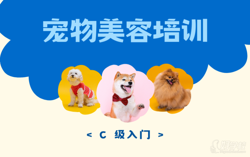 太原高端寵物美容C級入門培訓(xùn)課程