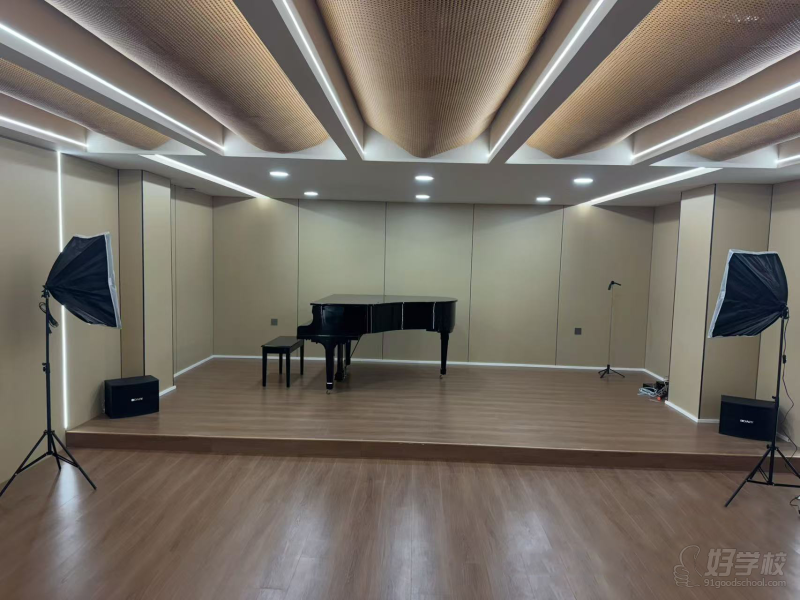 音乐艺考课程是为准备参加音乐院校艺考或更高学历综合类院校的高中生设计的专业课程。目标是帮助学生了解艺考要求，精通考试所需的知识技能，通过考试进入理想的院校。