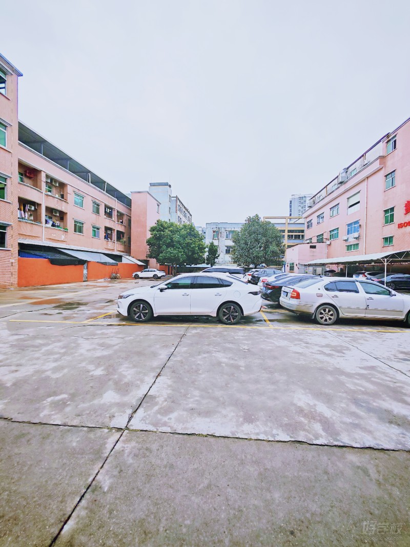 園區(qū)部分停車區(qū)