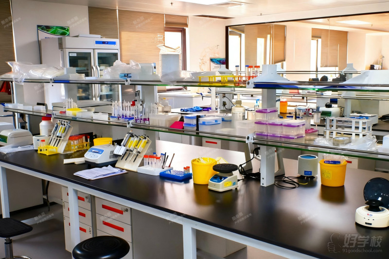 “食品抗菌 × 分子快检 × 中药空气治理” 四日营