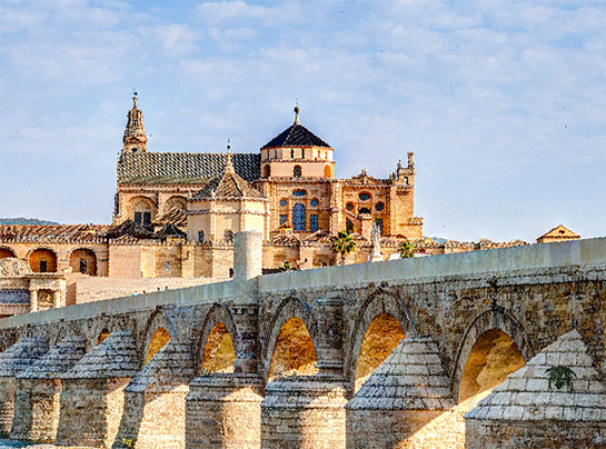 河北新东方文旅依托新东方32年知识传播和优质师资优势，新东方文旅集团面向中老年、亲子及青少年群体提供康养旅居、文化旅游、研学、国际游学和营地教育等高品质服务，致力于满足不同群体的精神需求、成长需求、社交需求。 从教育、生活到文旅服务，我们将奋楫笃行，打造有文化幸福感、有知识获得感、有个人追求感的高品质文旅体验。&nbsp;