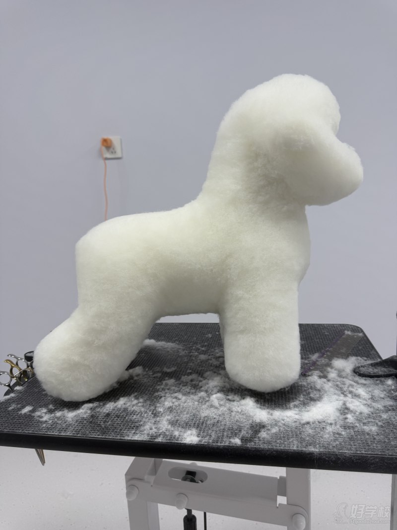 &nbsp; &nbsp; &nbsp; &nbsp; &nbsp; &nbsp; &nbsp; &nbsp; &nbsp; &nbsp; &nbsp; &nbsp; &nbsp; &nbsp; &nbsp; &nbsp; &nbsp; &nbsp; &nbsp; &nbsp; &nbsp; &nbsp; &nbsp; &nbsp; &nbsp; &nbsp; &nbsp; &nbsp; &nbsp; &nbsp; &nbsp; &nbsp; &nbsp; &nbsp; &nbsp; &nbsp; &nbsp; &nbsp; 学员作品4