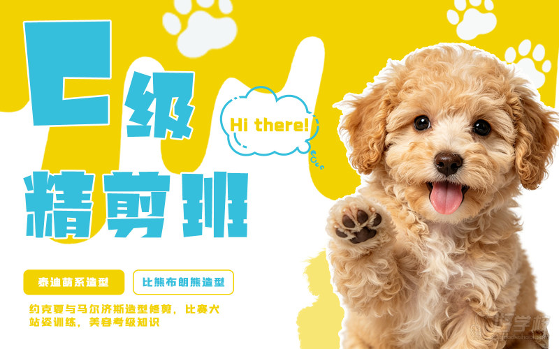 C级精剪班