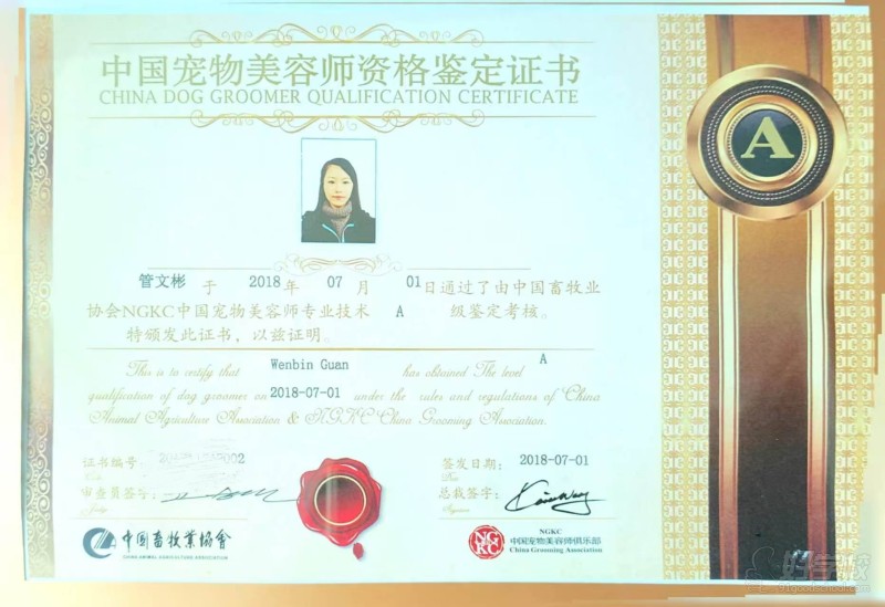 师资资质