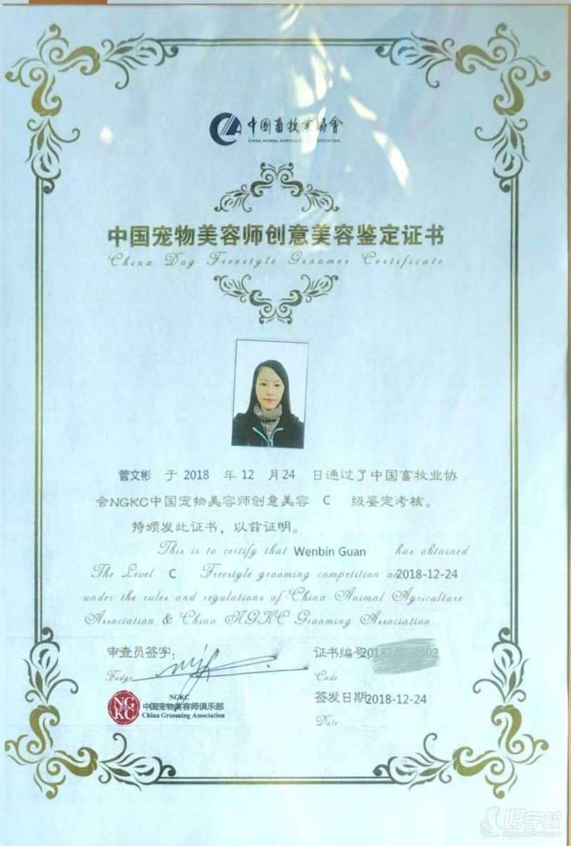师资资质