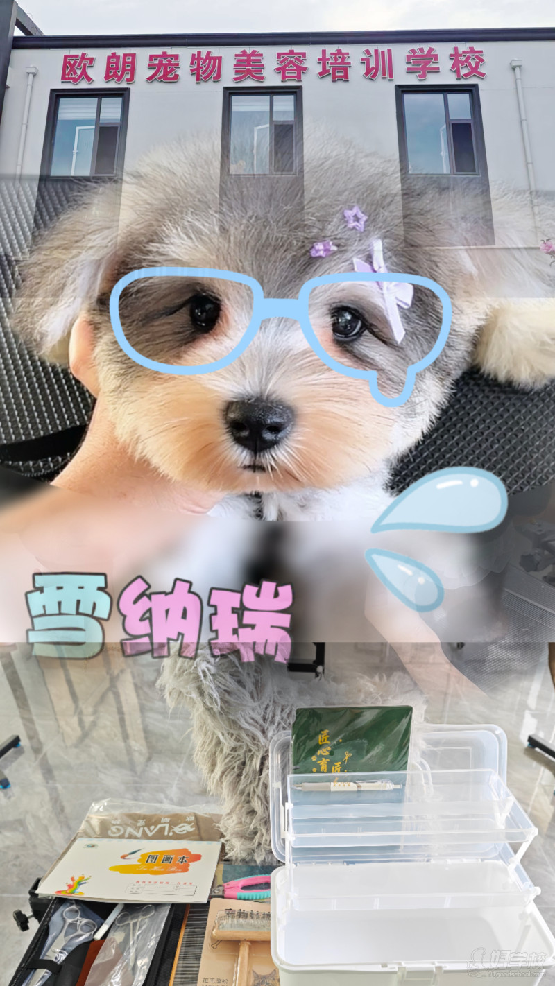 教具