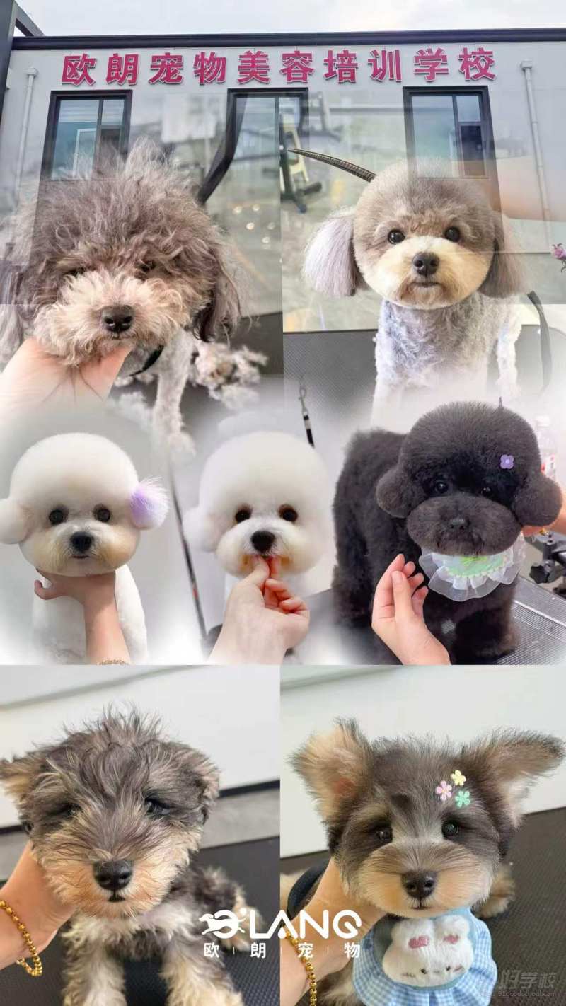学员作品