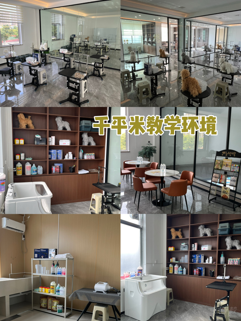千平米校区环境